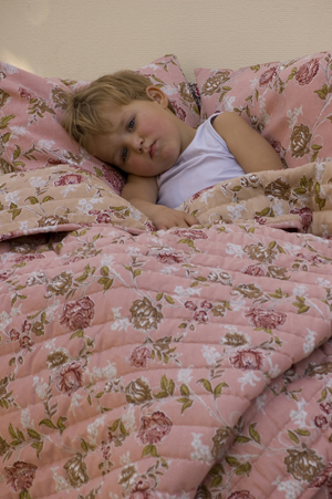 <br />Quilt ROSE